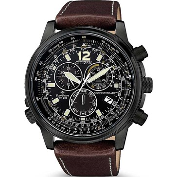 citizen sky pilot